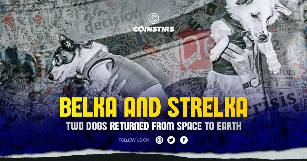 Belka and Strelka, Two Dogs Returned From Space to Earth
