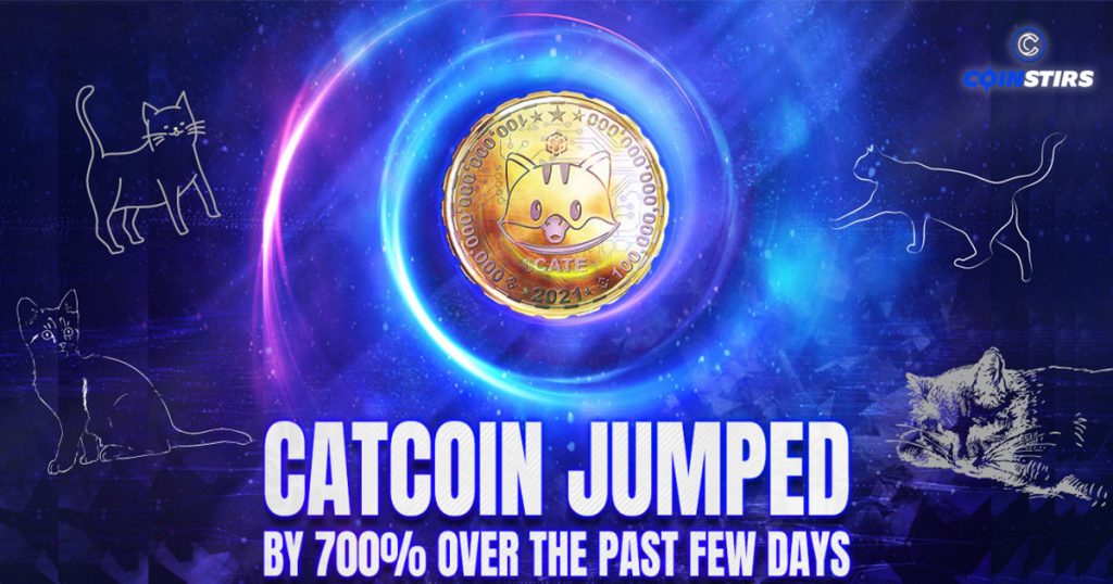 700%, That’s the Move from Memecoin, Catecoin, Leaping Like Out of Nowhere