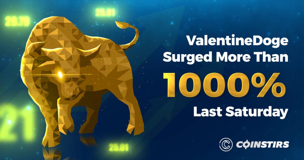 ValentineDoge Surged More Than 1000% Last Saturday